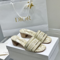 Christian Dior Slippers